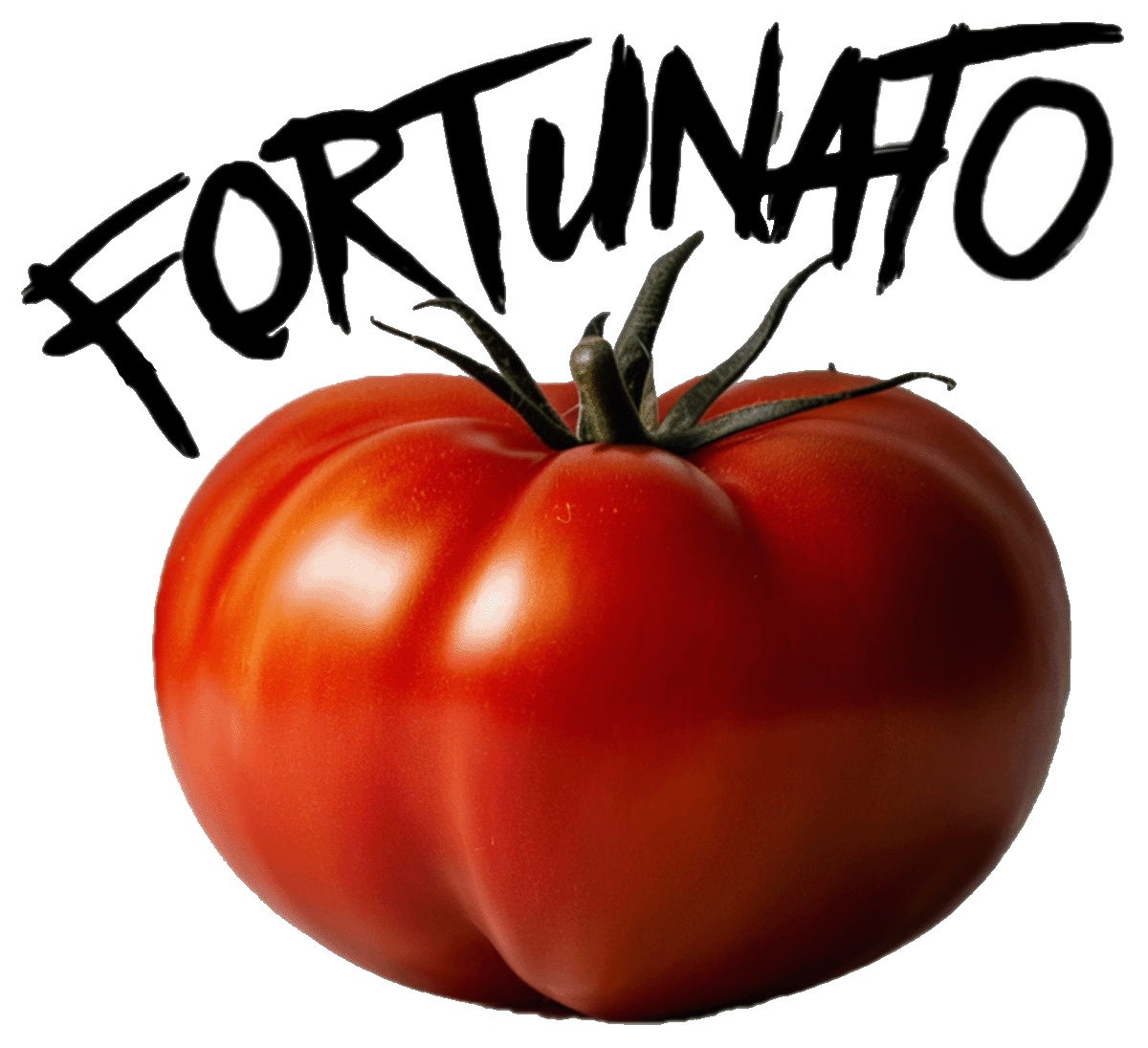 fortunato logo